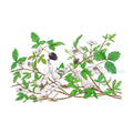 Bones in Bloom Original | Dewberry