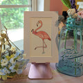Silly Birds Original | Floaty Flamingo