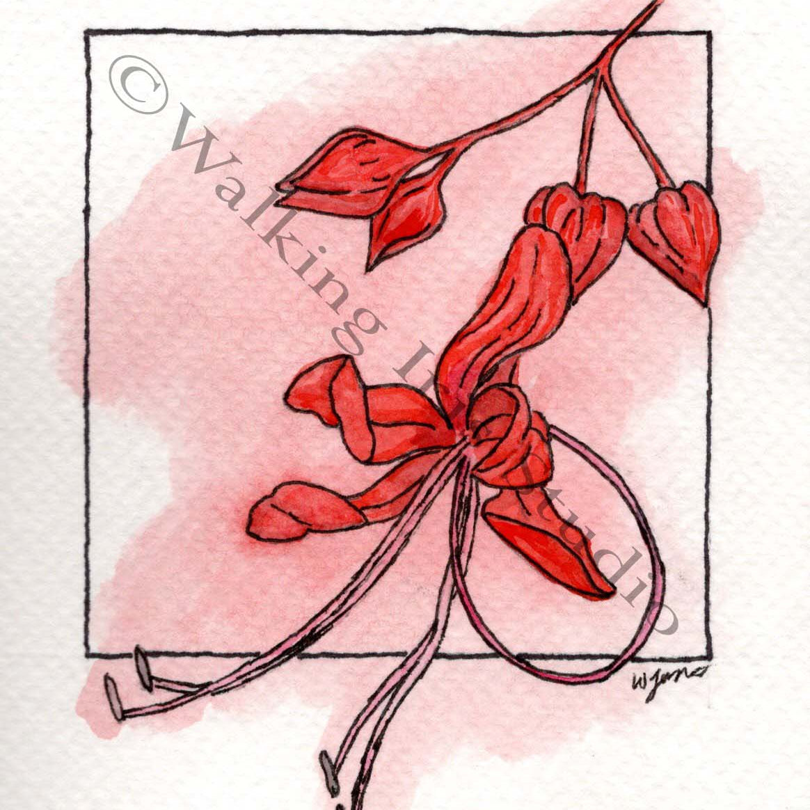 Rainbow Flowers | Red