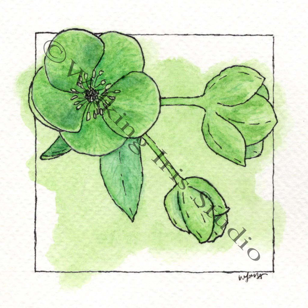 Rainbow Flowers | Green