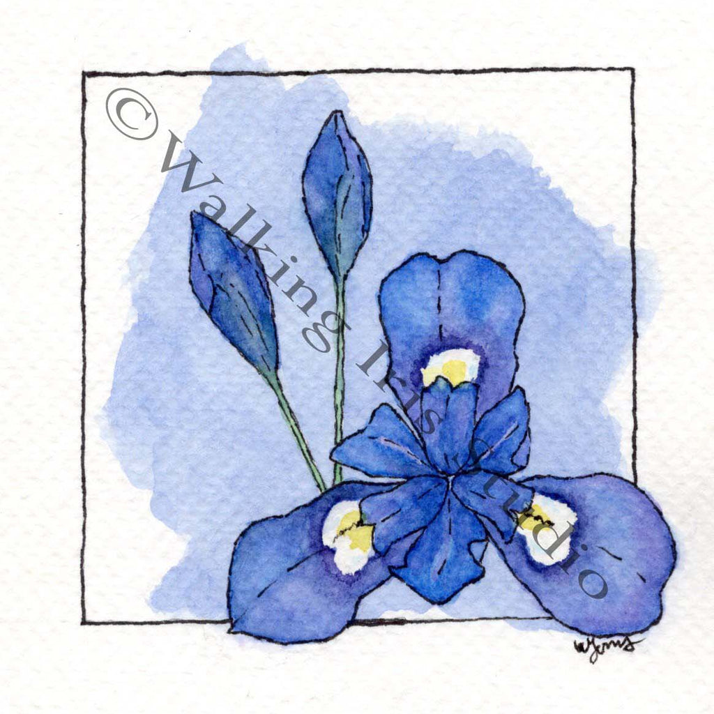 Rainbow Flowers | Indigo