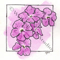 Rainbow Flowers | Violet