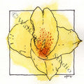 Rainbow Flowers | Yellow