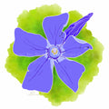 Portugal Blooms | Forest Periwinkle
