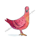 Silly Birds Original | Funny Pigeon