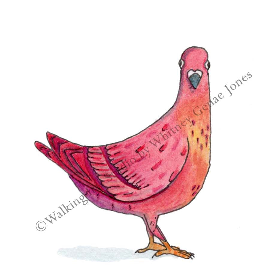 Silly Birds Original | Funny Pigeon