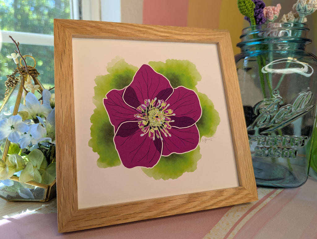 Portugal Blooms | Pena Hellebore