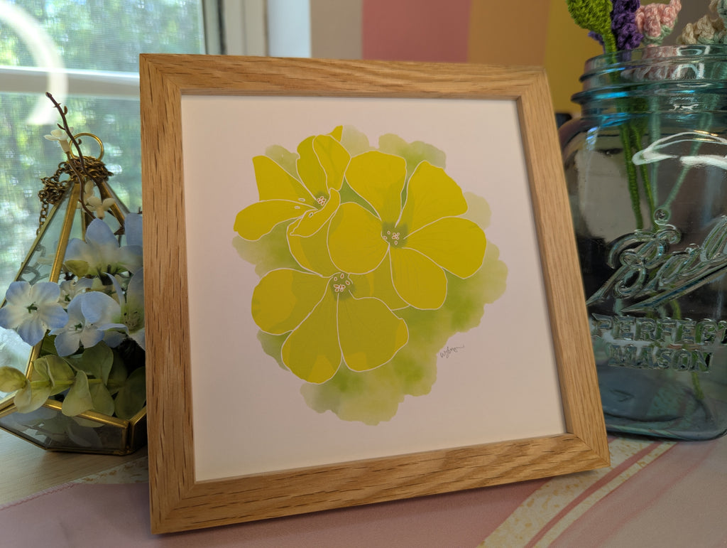 Portugal Blooms | Garden Oxalis