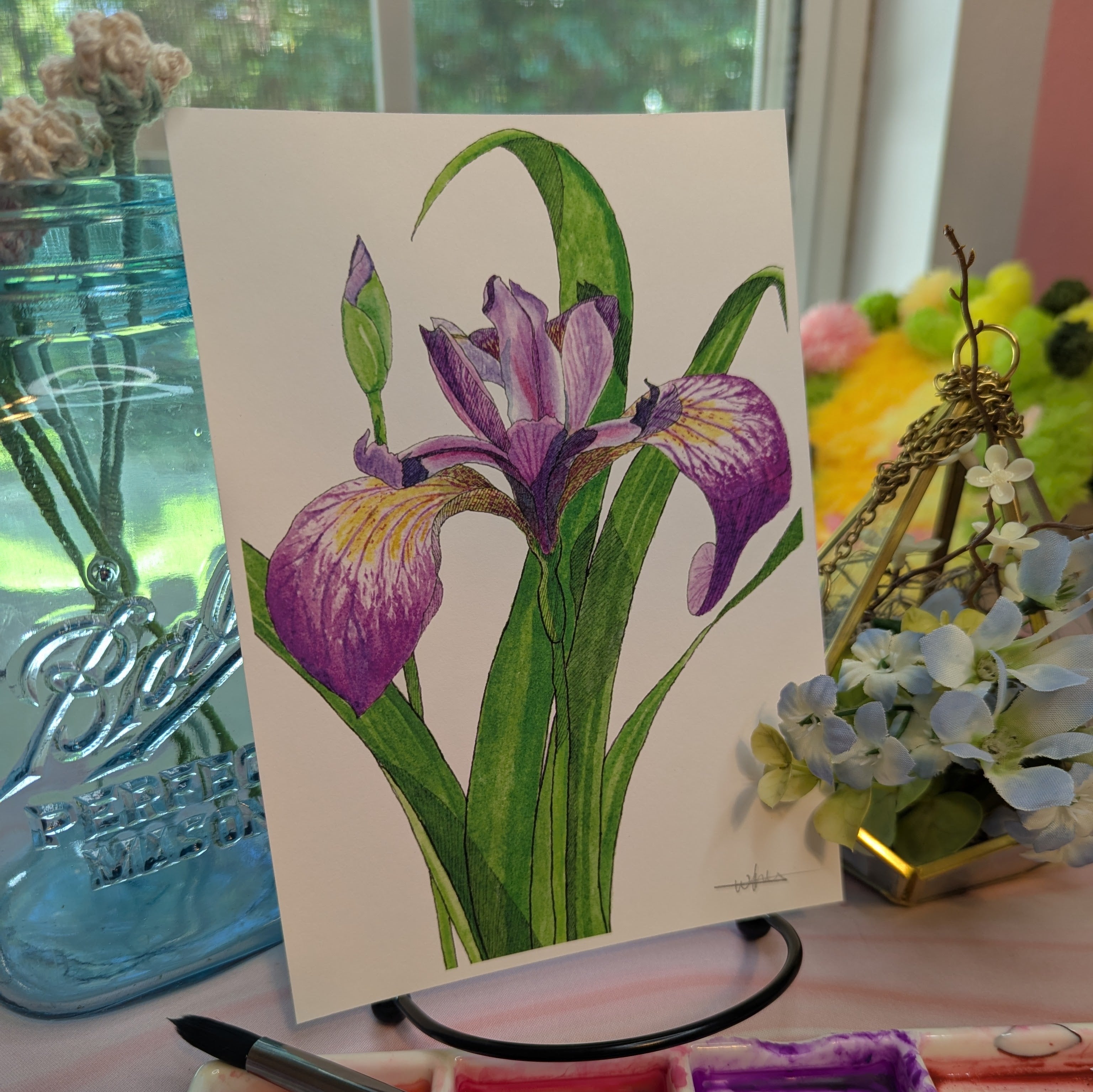 Watercolor Botanical Original | Blue Flag Iris