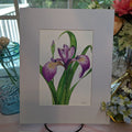 Watercolor Botanical Original | Blue Flag Iris