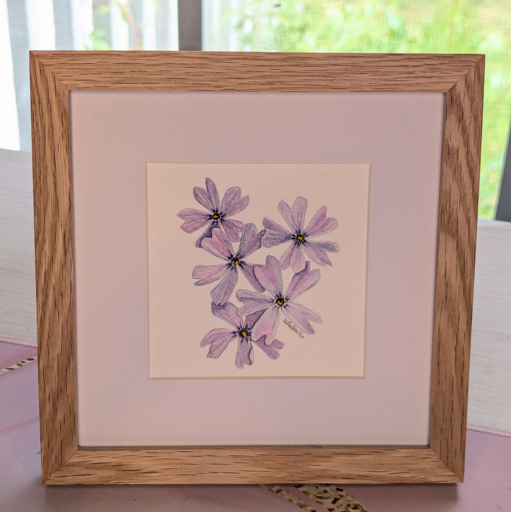 Watercolor Botanical Print | Creeping Phlox