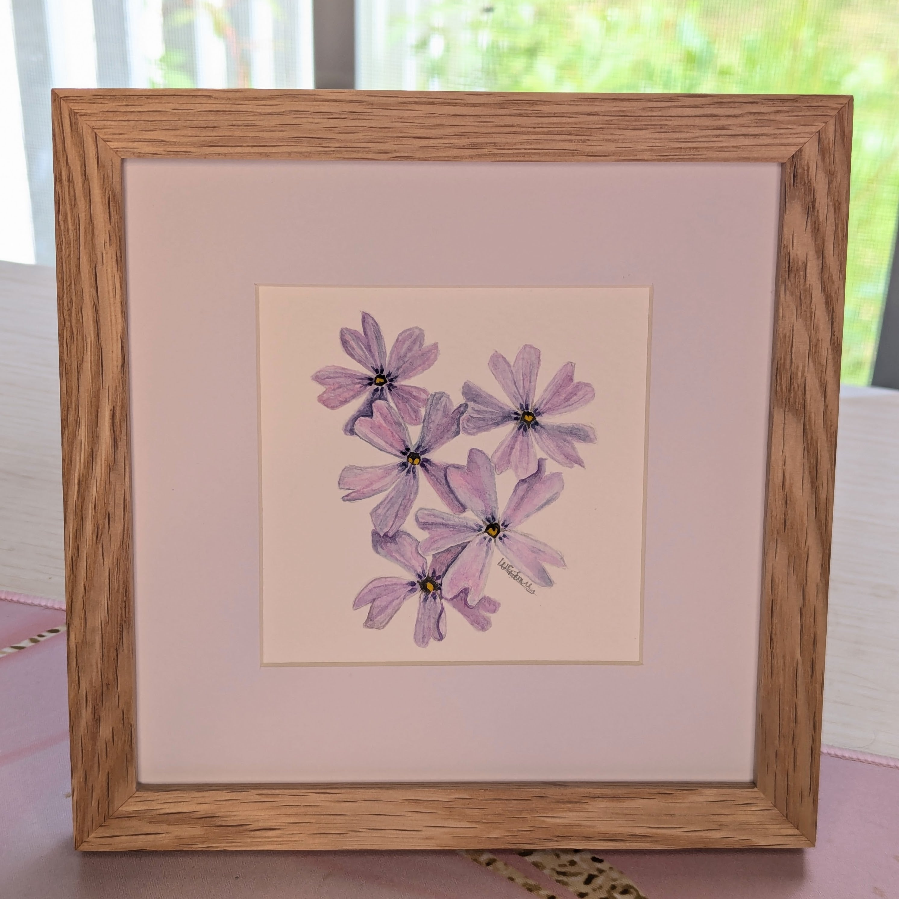 Watercolor Botanical Original | Creeping Phlox