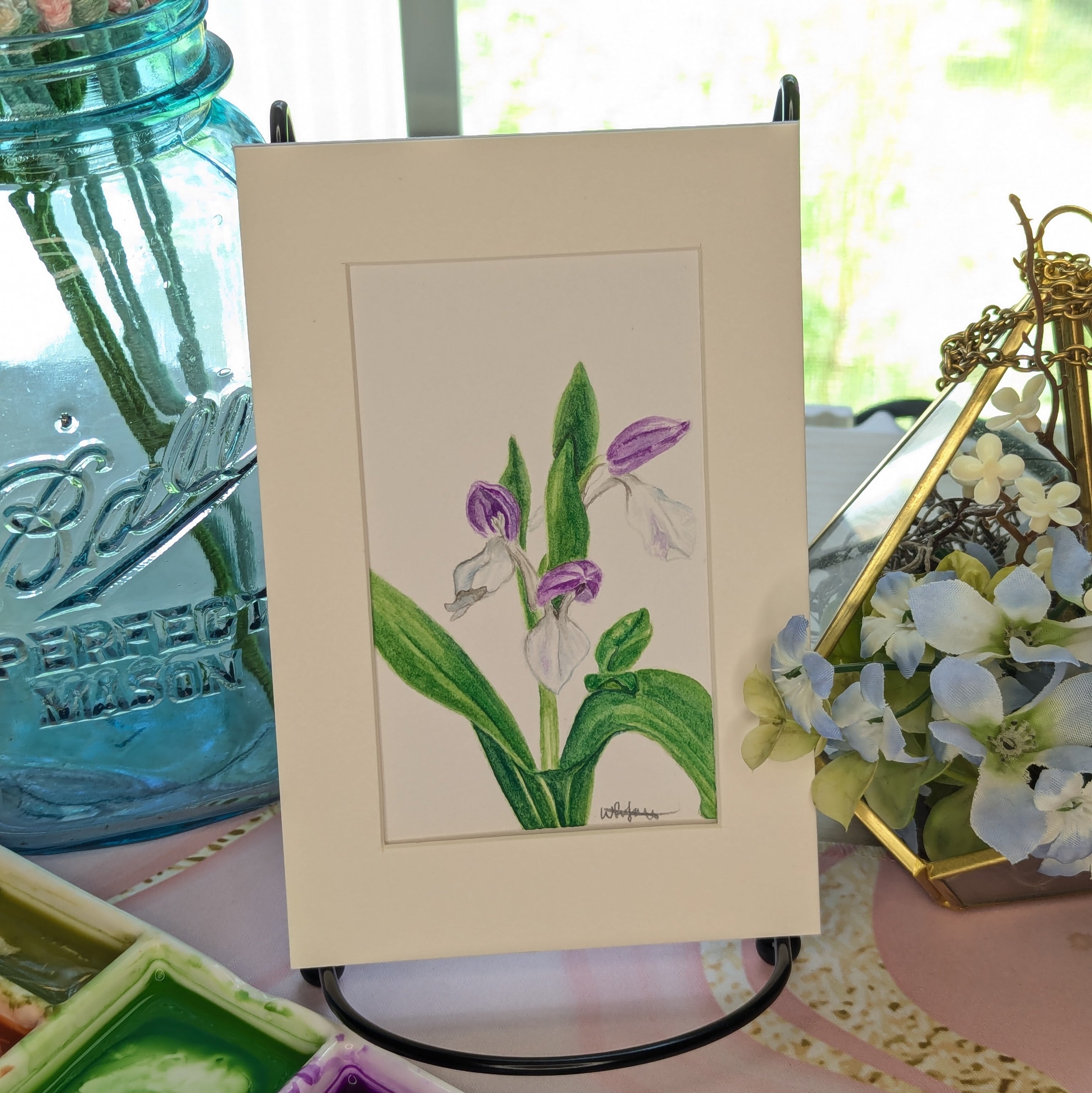 Watercolor Botanical Original | Showy Orchis