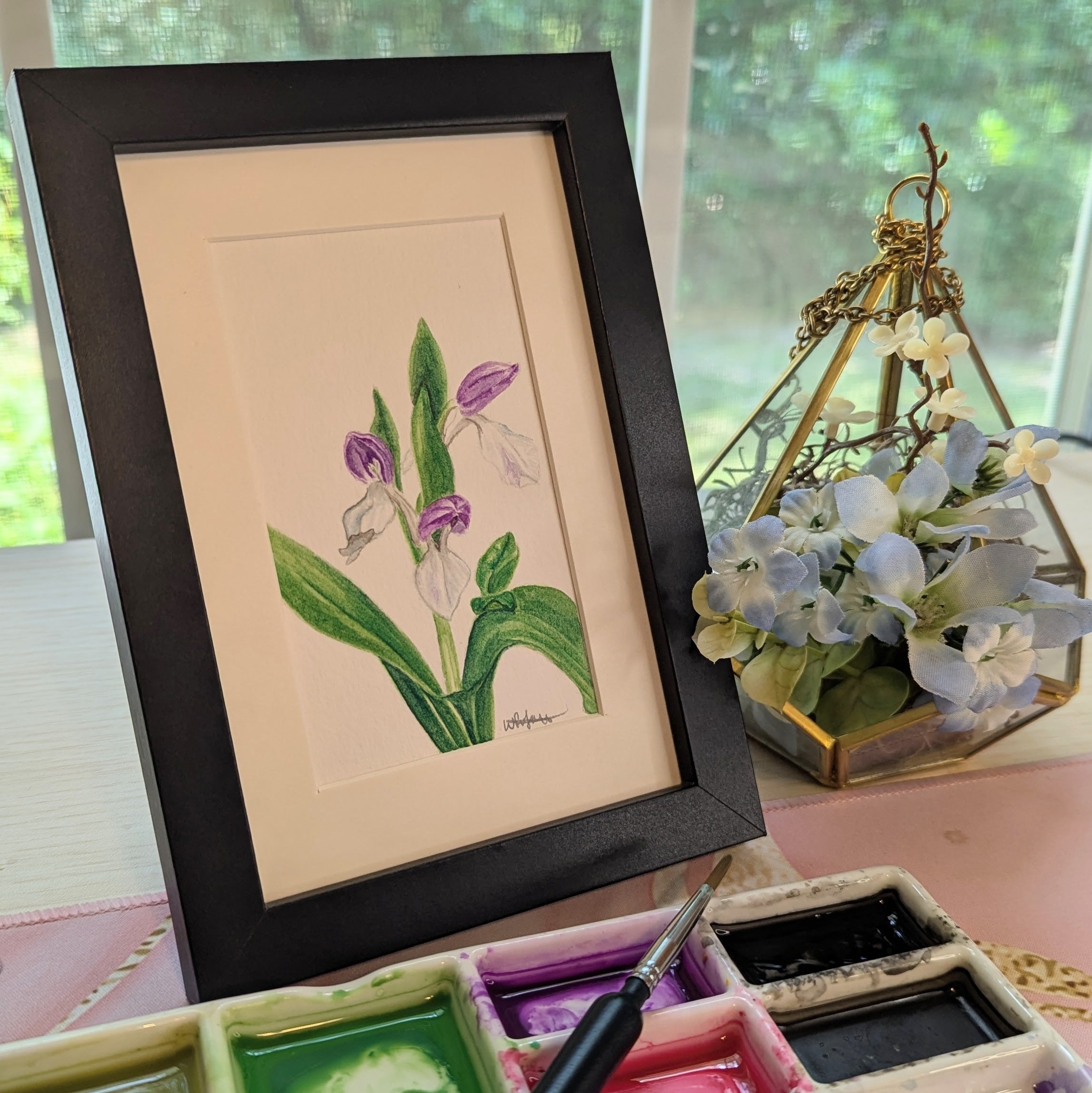 Watercolor Botanical Original | Showy Orchis