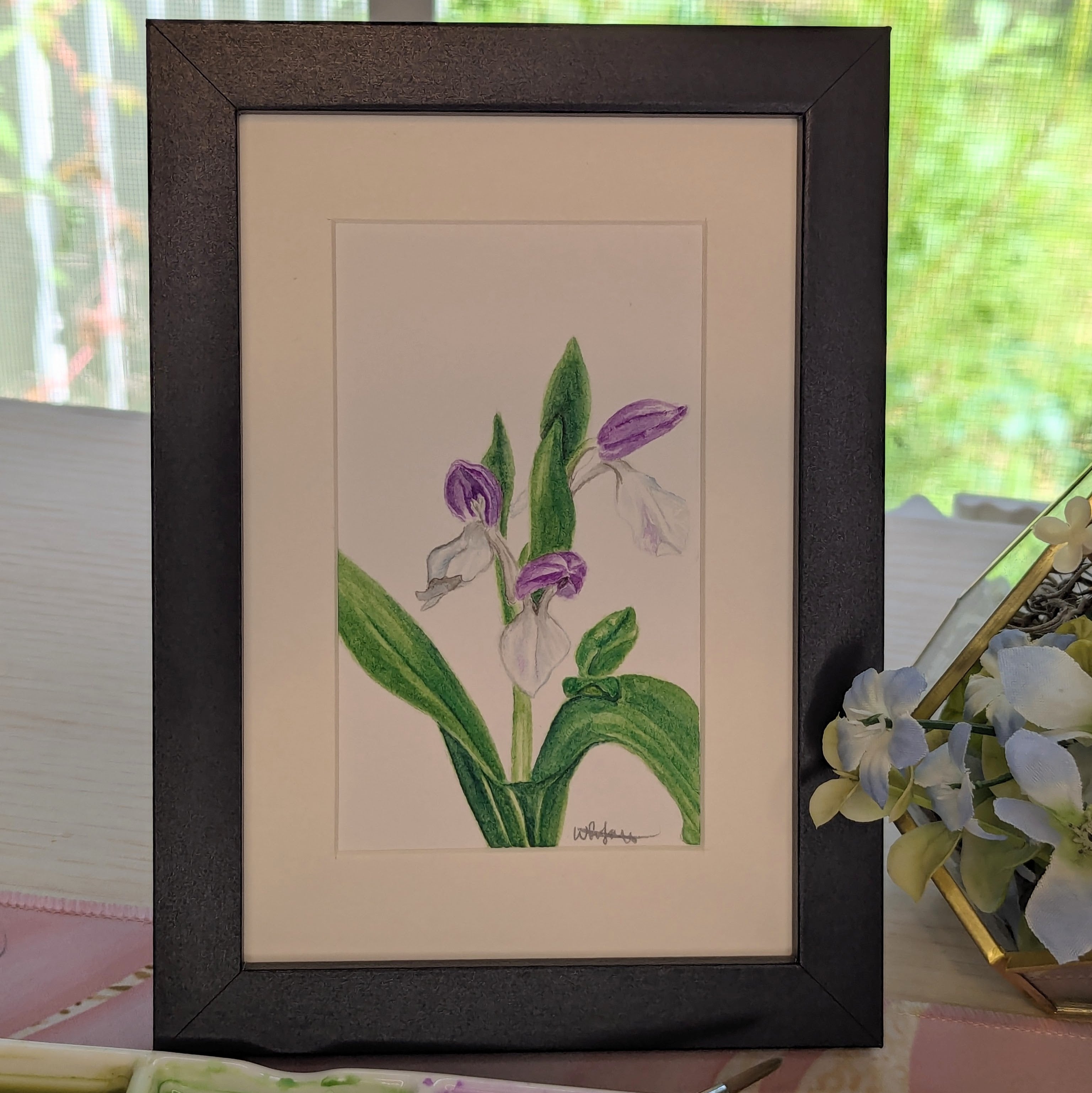 Watercolor Botanical Original | Showy Orchis