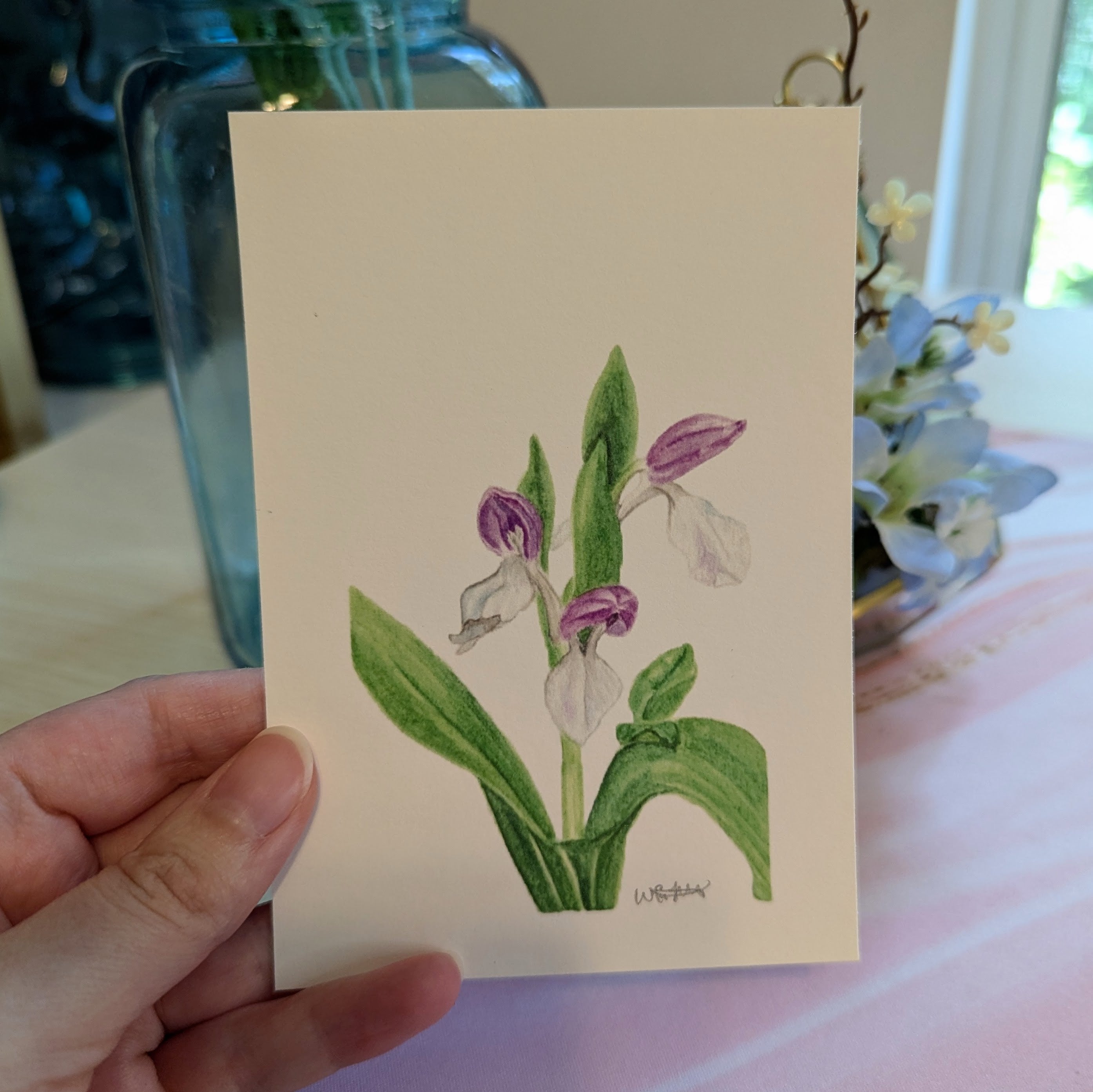 Watercolor Botanical Print | Showy Orchis