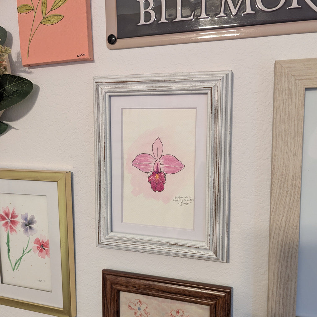 Watercolor Botanicals | Costa Rica Bamboo Orchid