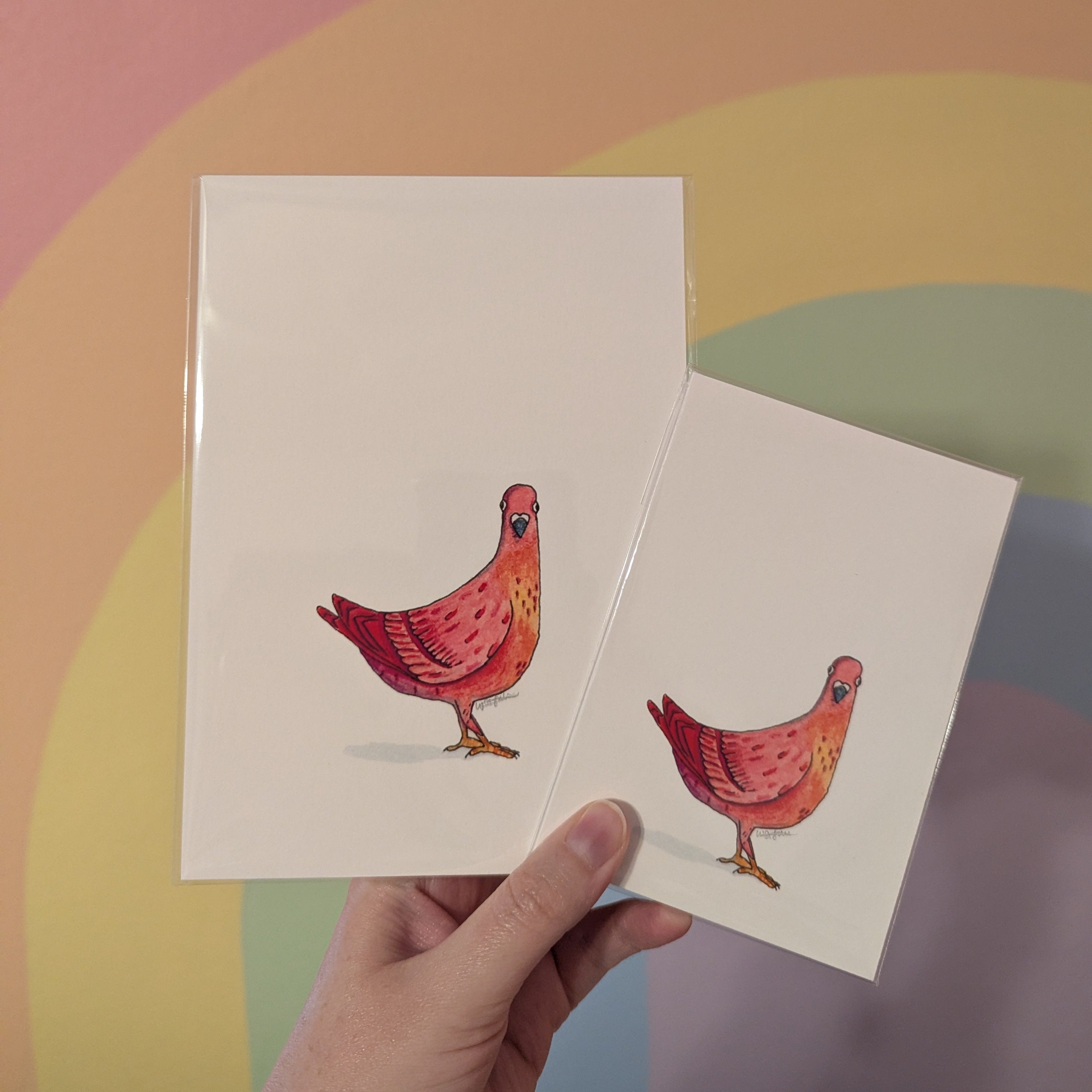 Silly Birds Original | Funny Pigeon