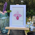 Watercolor Botanicals | Costa Rica Bamboo Orchid