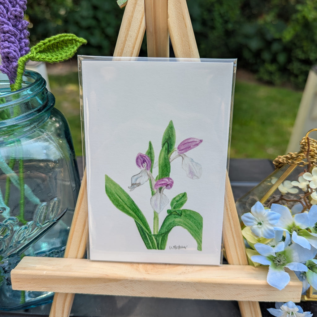 Watercolor Botanical Print | Showy Orchis