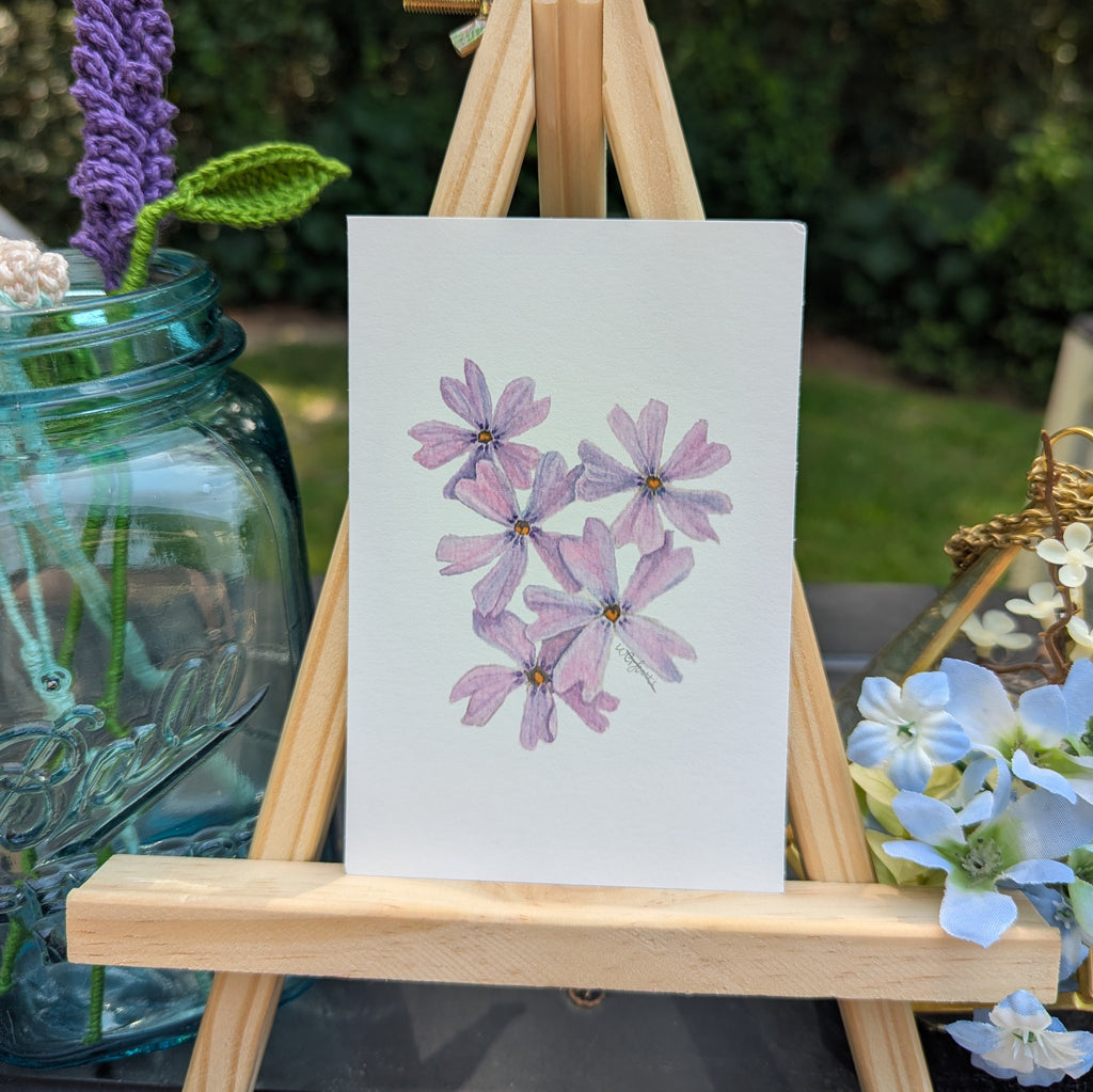 Watercolor Botanical Print | Creeping Phlox