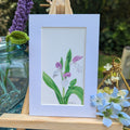 Watercolor Botanical Print | Showy Orchis
