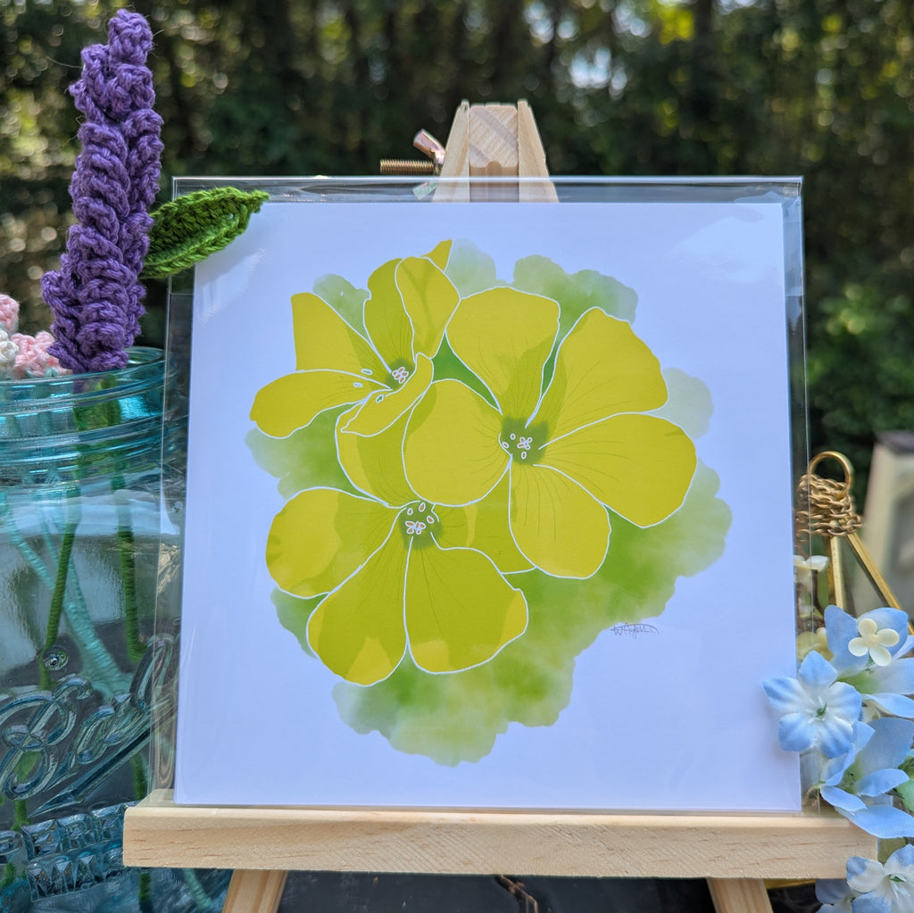 Portugal Blooms | Garden Oxalis