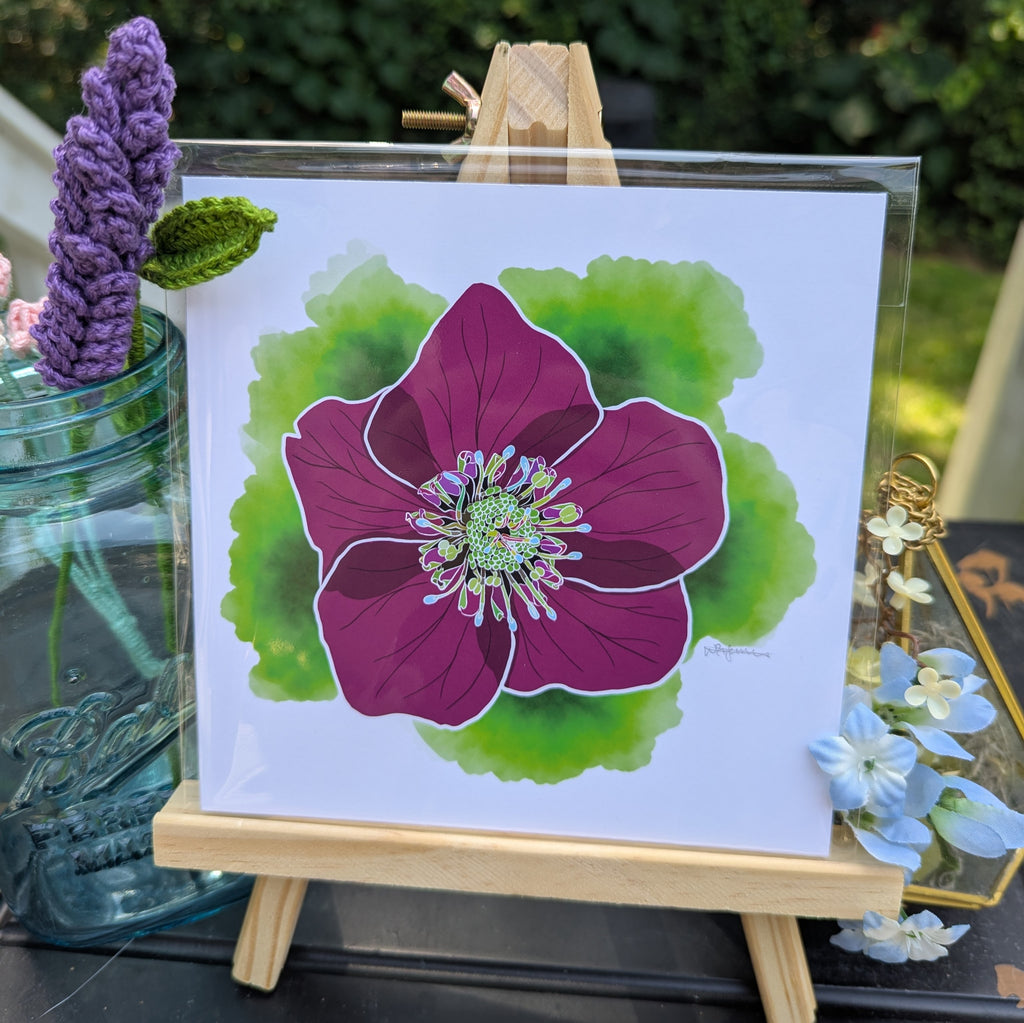 Portugal Blooms | Pena Hellebore