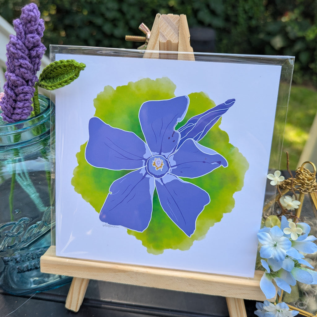 Portugal Blooms | Forest Periwinkle