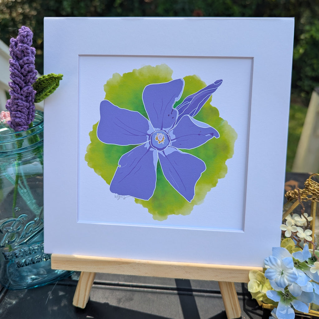 Portugal Blooms | Forest Periwinkle