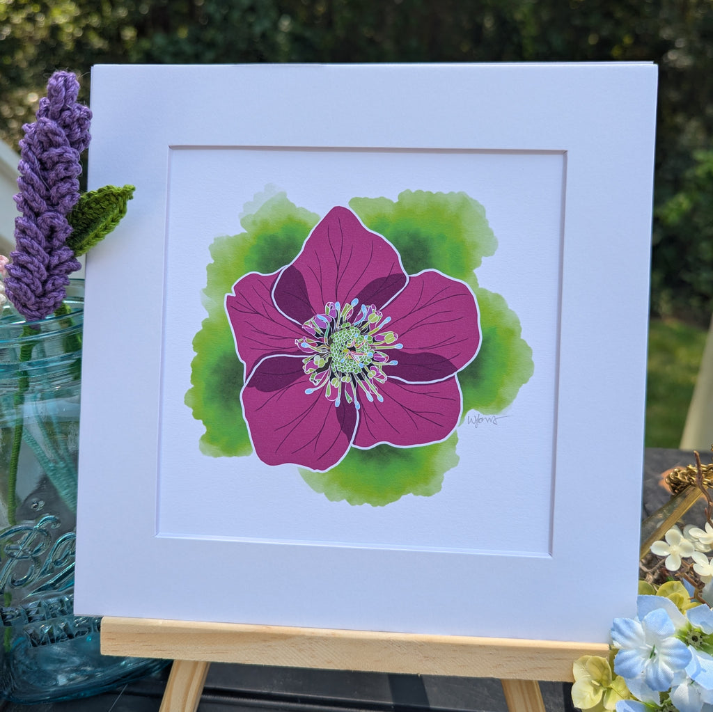 Portugal Blooms | Pena Hellebore