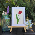 Red Tulip Original