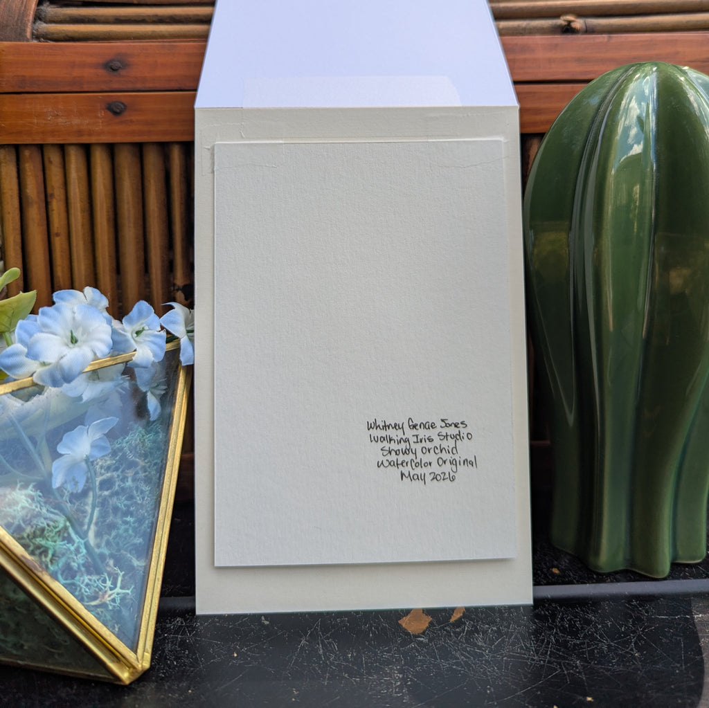 Watercolor Botanical Original | Showy Orchis