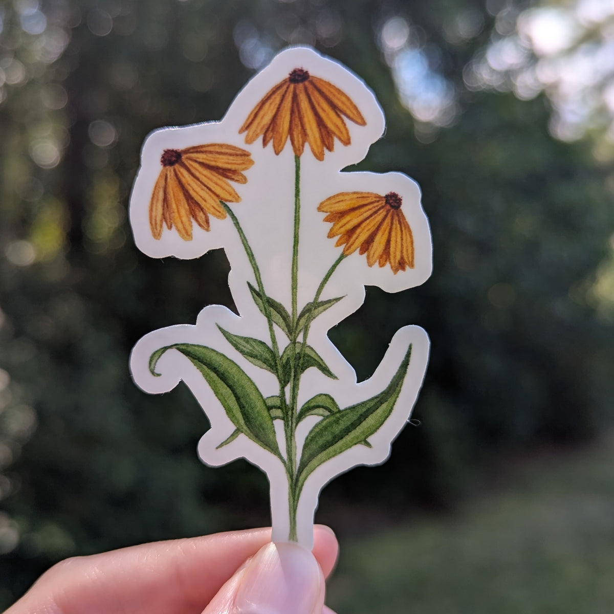 Autumn Coneflowers Waterproof Sticker