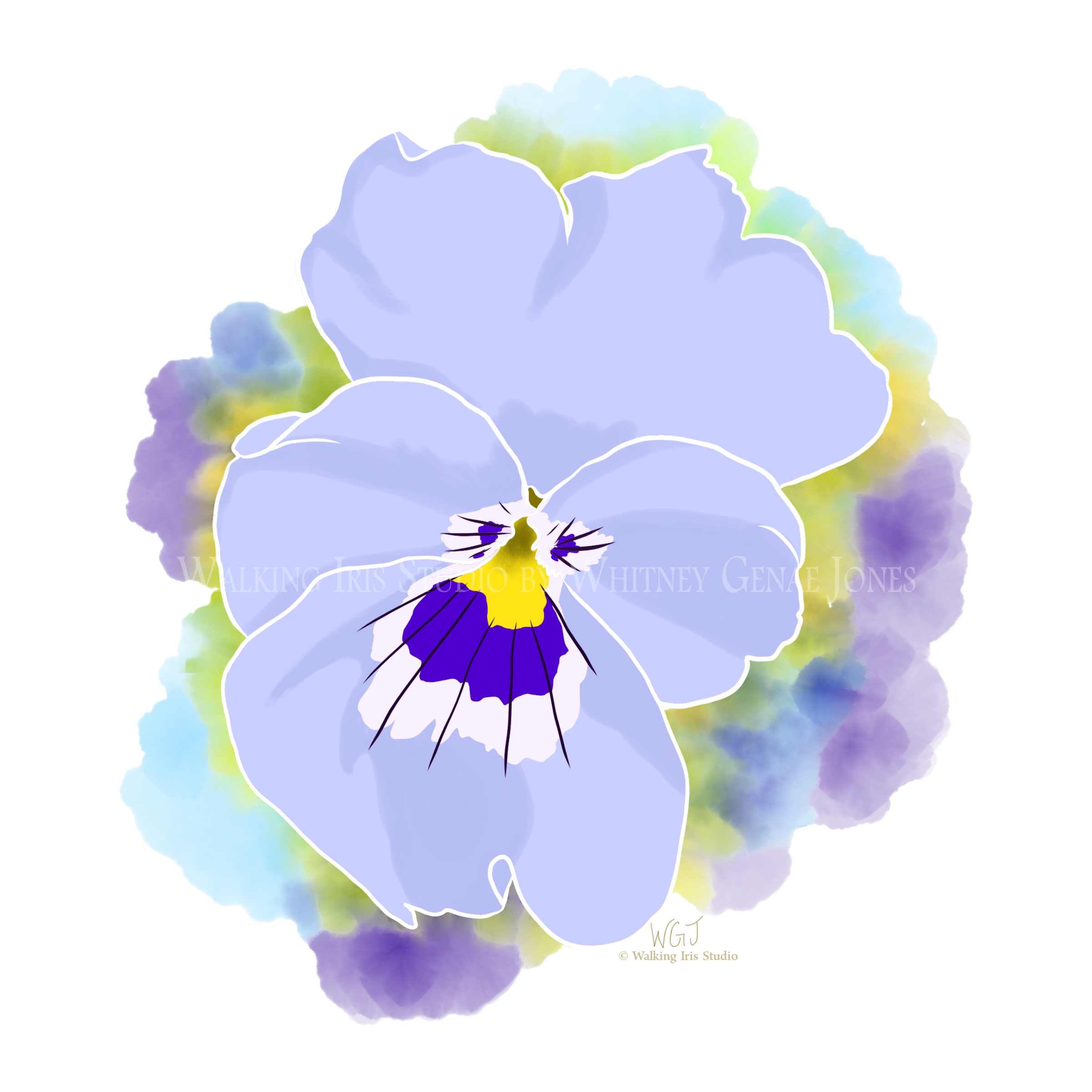 Portugal Blooms | Pathway Violet