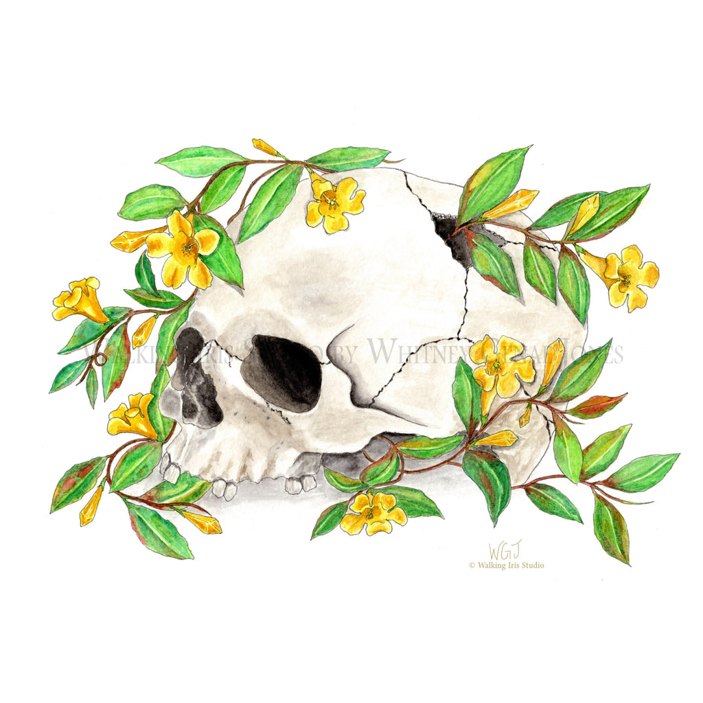 Bones in Bloom Original | Yellow Jasmine